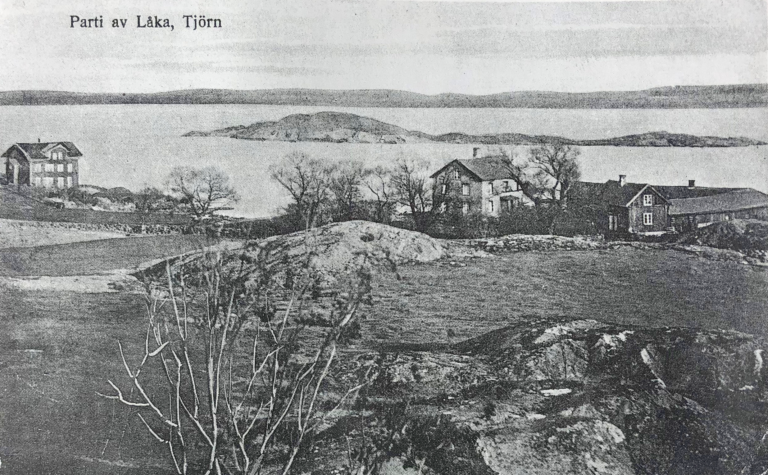 Sillsalteriet på Låka, Tjörn