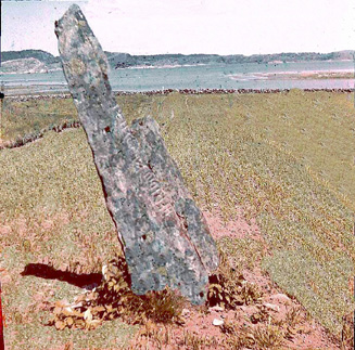 Runstenen i Räfsal 1948